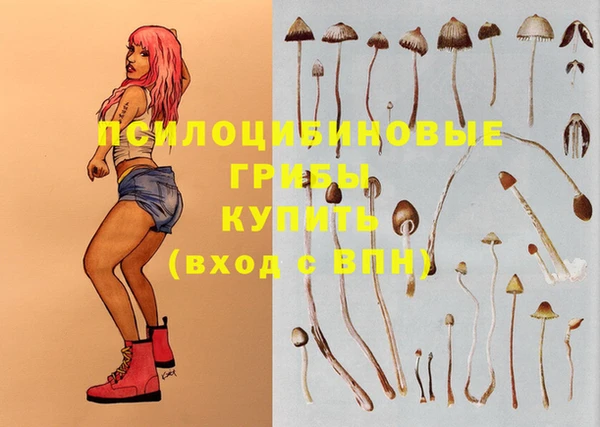 тгк Киренск