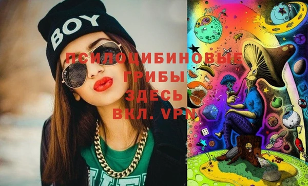 мет Кинешма
