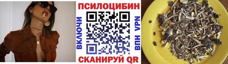 Галлюциногенные грибы GOLDEN TEACHER  Купить закладки  Дмитровск 